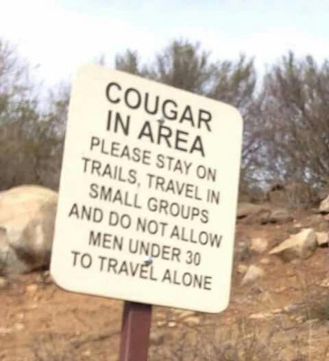 d463e82c63321c5c8968bfc6c1295a3d--funny-signs-its-funny.jpg
