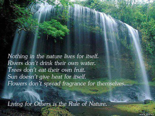 Nothing in nature lives for itself. Rivers don't drink their own ...