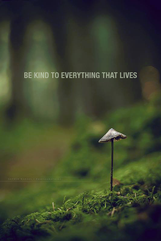 Yes ~ Be kind to everything that lives. We all show our souls in ...