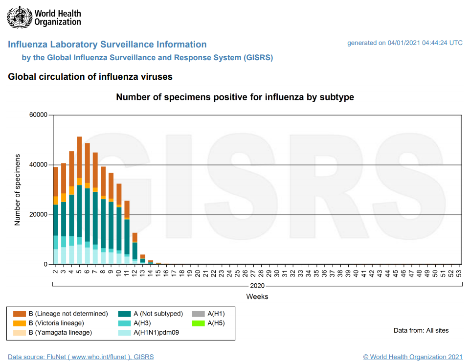 flunet-globalviruscirculation-20210104.p