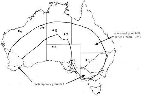 aboriginal-grain-belt.jpeg?resize=470,32