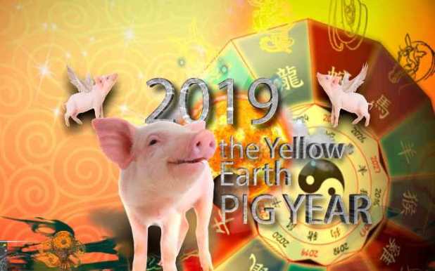 chinese-new-year-2019-earth-pig-1.jpg?re