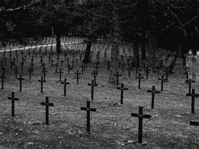 10892619.gif