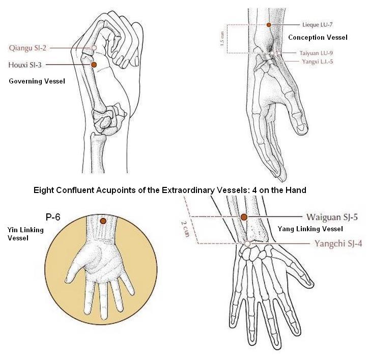 msgacu_8exconfluent_hand.jpg