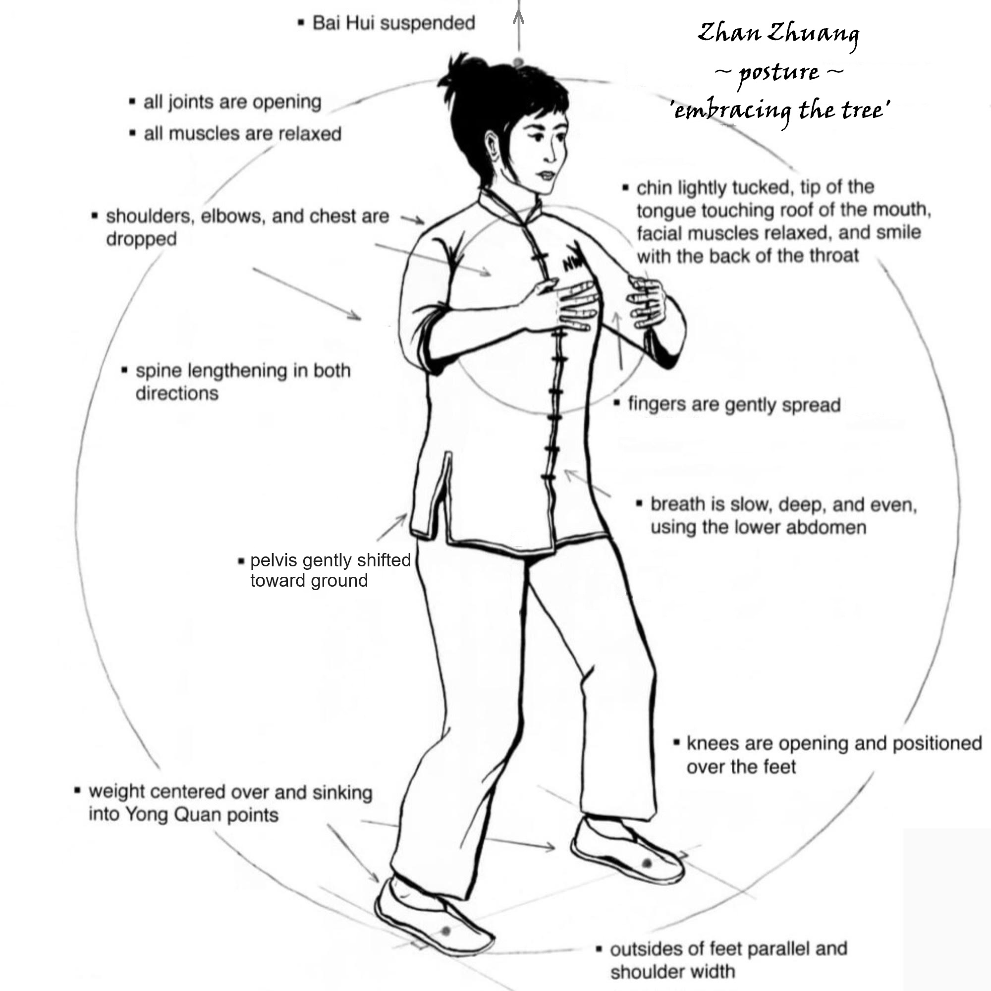 zhanzhuang_posture.jpg