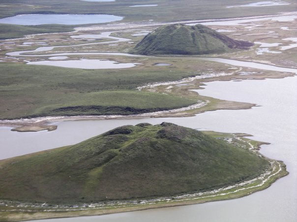 pingos_near_tuk.jpg