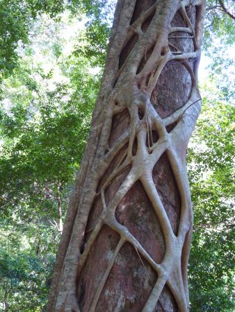 fraser-island-adventure.jpg