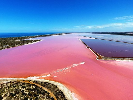 pink-lake-aerial-flyover.jpg