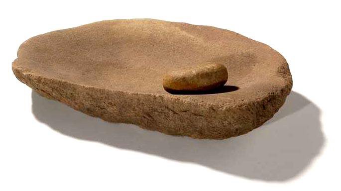 Food Culture: Aboriginal Bread - The Australian Museum Blog