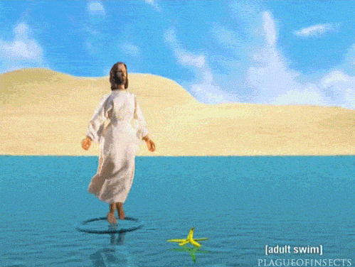 giphy.gif