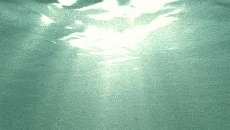 giphy.gif