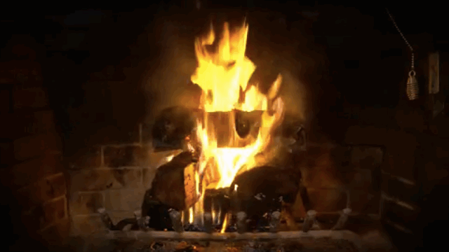 giphy.gif