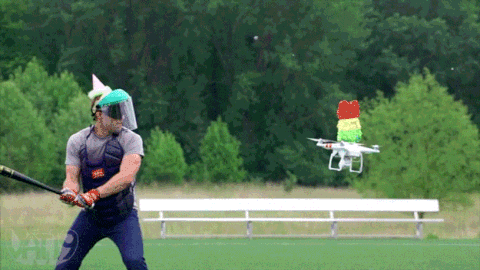 giphy.gif