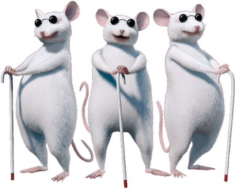 Three Blind Mice GIFs | Tenor