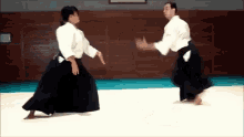Aikido GIFs | Tenor