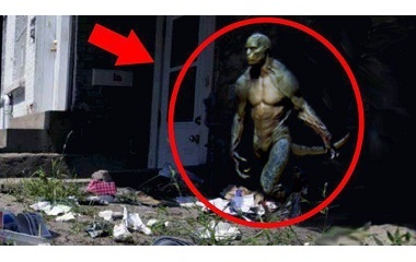 Reptilian-spotted-380x240.jpg