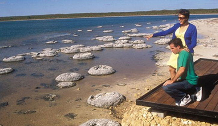 725x420-CVT-Stromatolite.png