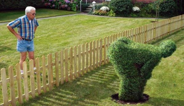Image result for rude topiary
