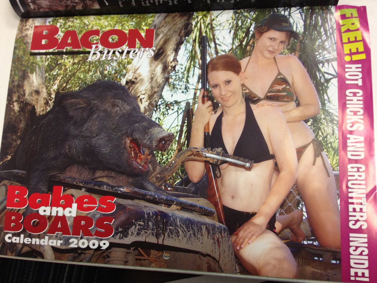 Pulp Librarian on X: "The 2009 Babes & Board calendar from Bacon Busters  magazine. #Australia https://t.co/lXZmLvfjQx" / X
