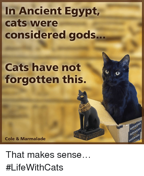 in-ancient-egypt-cats-were-considered-go