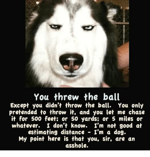 you-threw-the-ball-except-you-didnt-thro