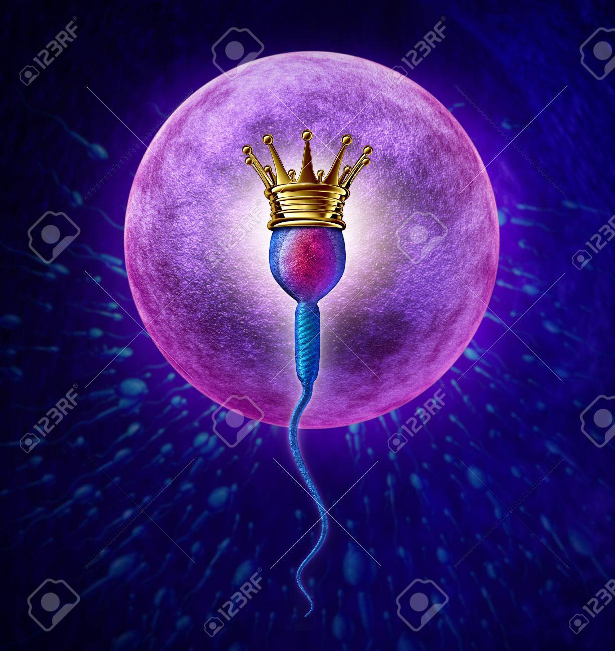 24220890-winning-sperm-human-fertility-concept-with-a-close-up-of-microscopic-sperm-or-spermatozoa-cell-weari.jpg