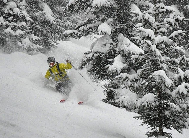 tree-ski-2.jpg