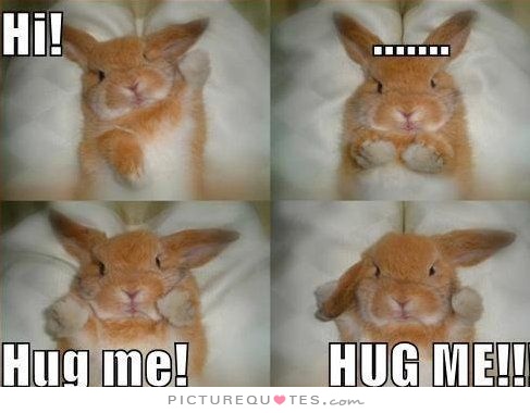 Hi! Hug me! Hug me!. Picture Quotes.