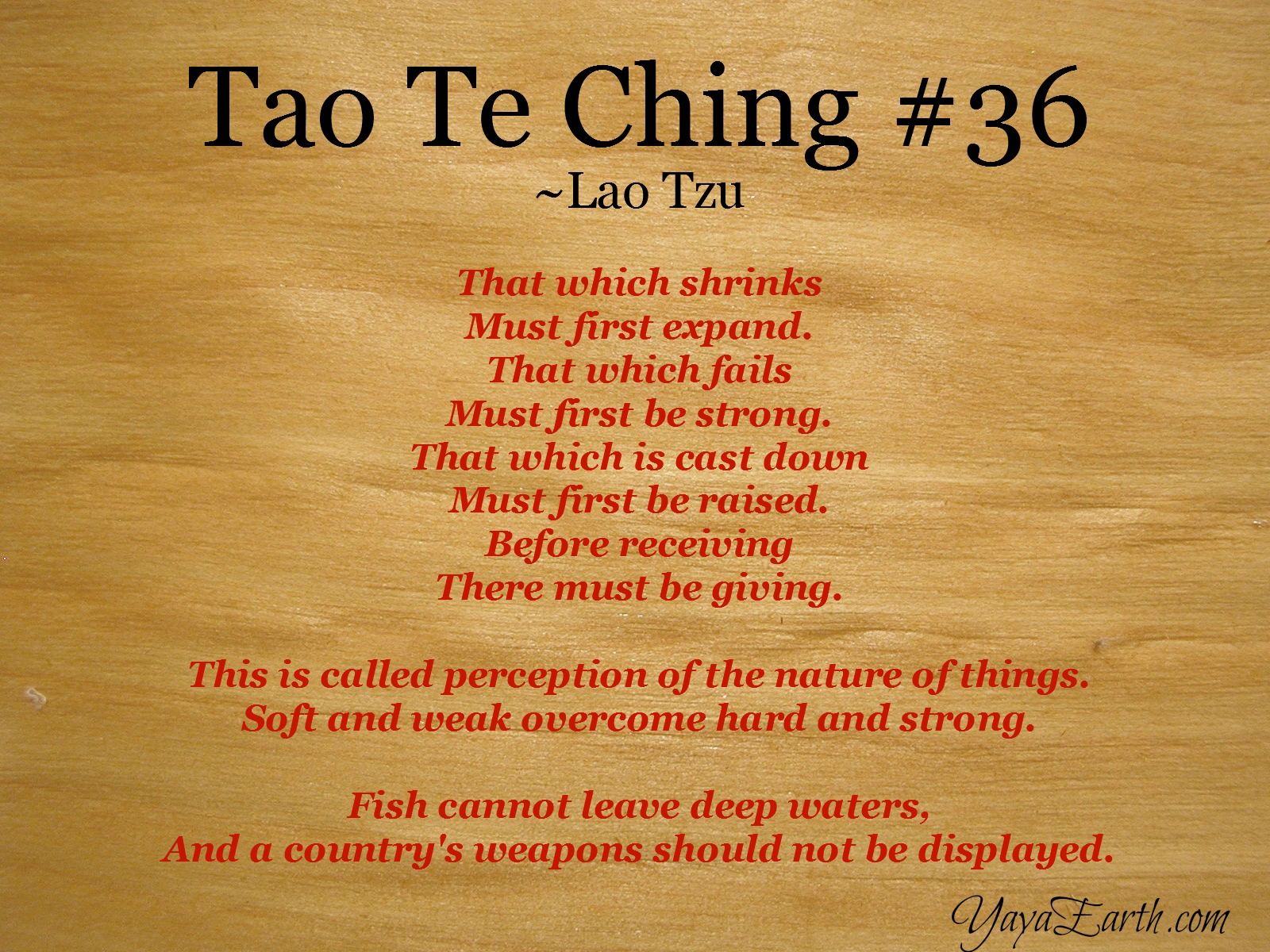 Tao te. Lao Tzu quotes. New tao te Ching. Tao te Ching ISBN: 9781853264719. Подпись Lao Tzu.