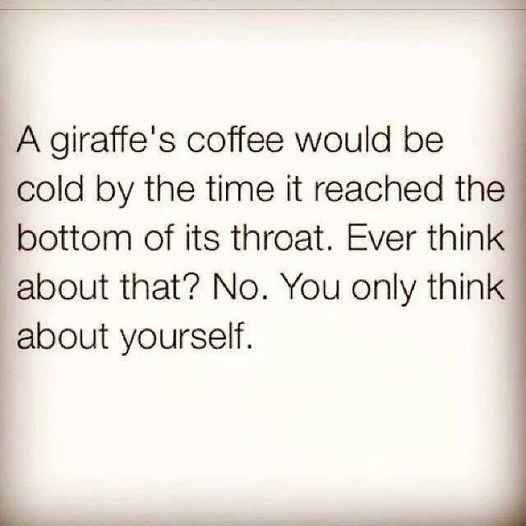 Image may contain: text that says 'A giraffe's coffee would be cold by the time it reached the bottom of its throat. Ever think about that? No. You only think about yourself.'