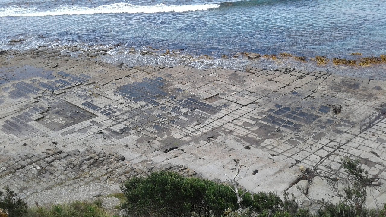 The Tessellated Pavement - Tasmanian Times