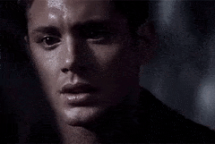 NeedyColdHarlequinbug-max-1mb.gif