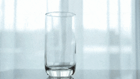 SarcasticFittingAltiplanochinchillamouse-max-1mb.gif