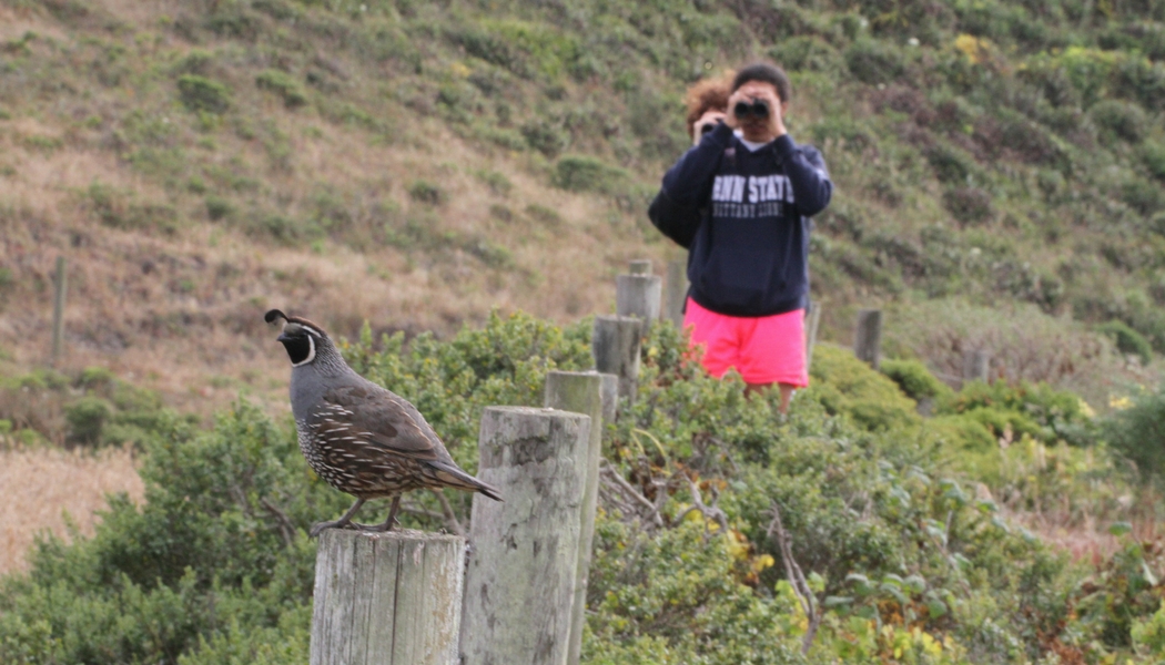 Bird Watching – Wildlife Leadership Academy