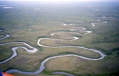 Gallery_Image_6346.jpg