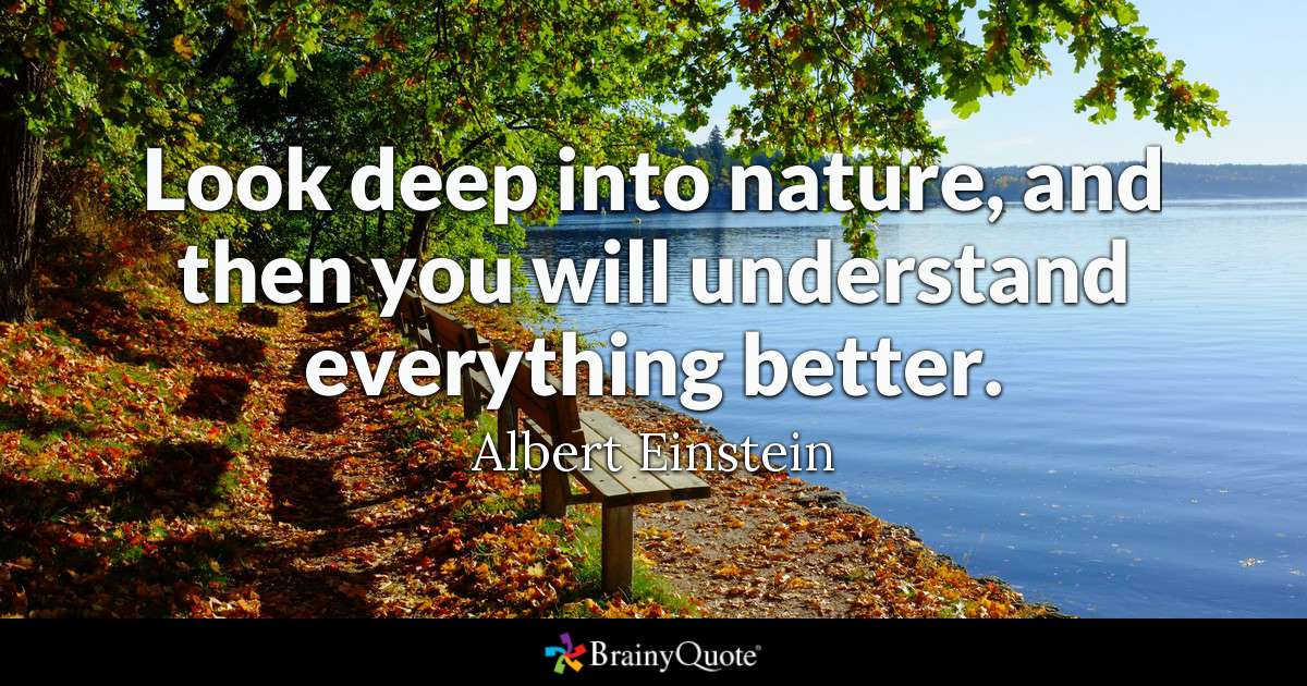 Look deep into nature, and then you will understand everything better. - Albert Einstein