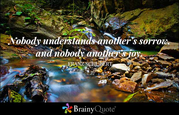 Nobody understands another's sorrow, and nobody another's joy. - Franz Schubert