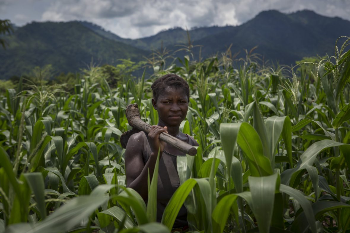 A woman farmer walks through fields