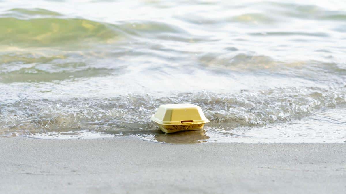 44% of Ocean Plastics Are Linked to Takeout Food - EcoWatch