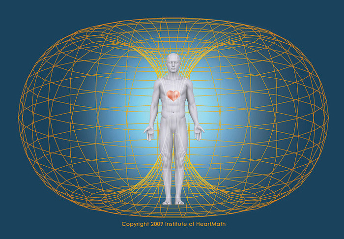 soh-figure-6-1.jpg