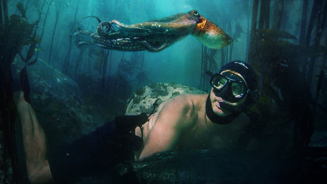 My-Octopus-Teacher-2.jpg