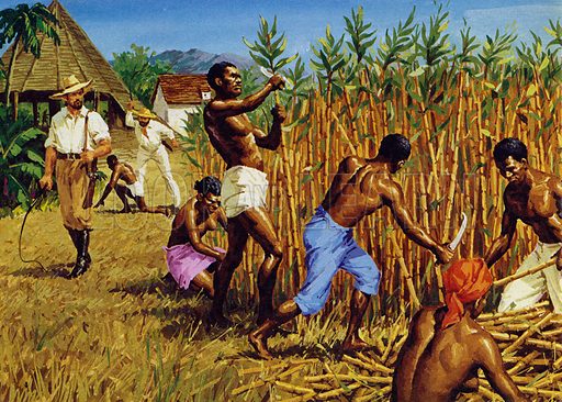 B339365_Slaves-working-on-a-plantation-i