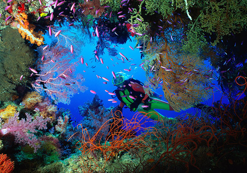 raja-ampat-diving.jpg