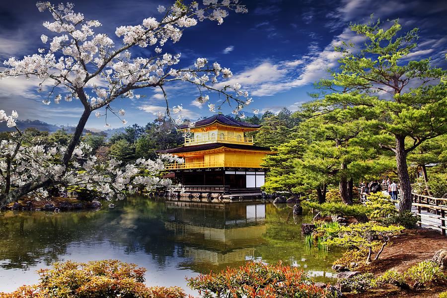 Image result for gold temple, japan