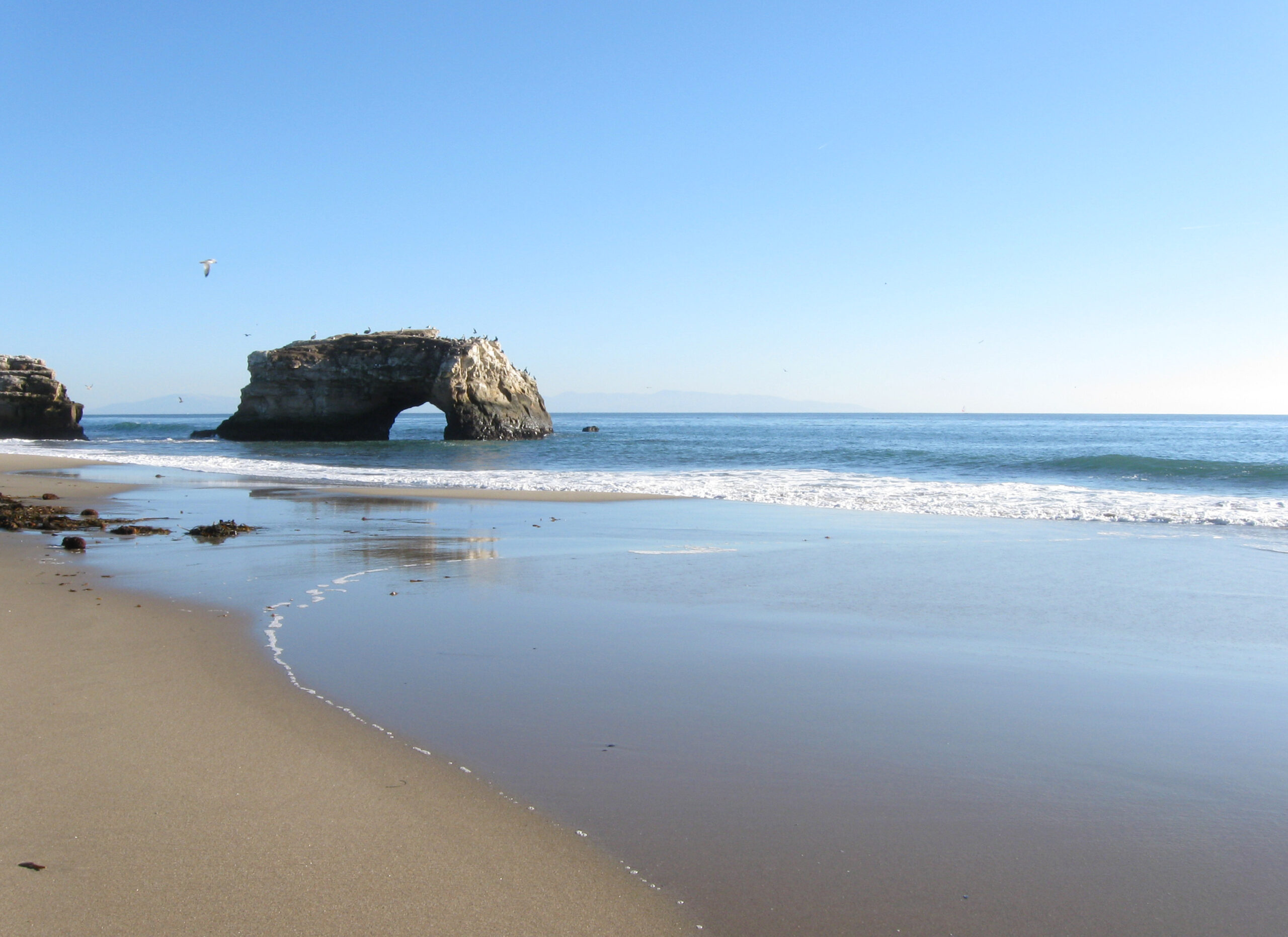 Natural Bridges State Park, Santa Cruz, CA