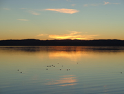 211130_ducks-on-the-lake_DSC00920.jpg