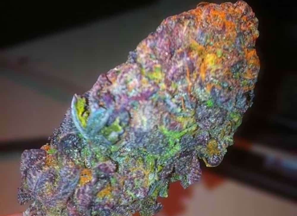 colorful-weed-strains-brighten-your-day-