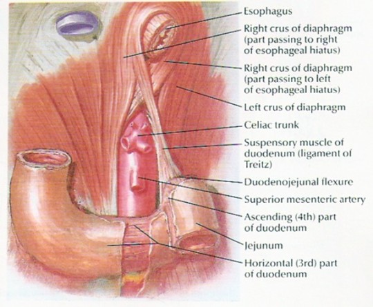 tumblr_inline_oov951Laie1tuek78_540.jpg