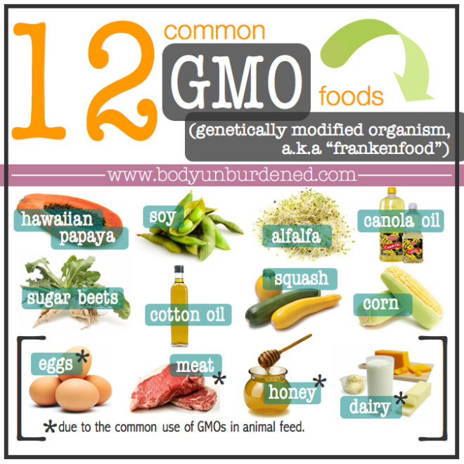common-gmo-foods.png