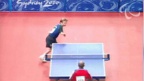 table-tennis-paralympic-games.gif